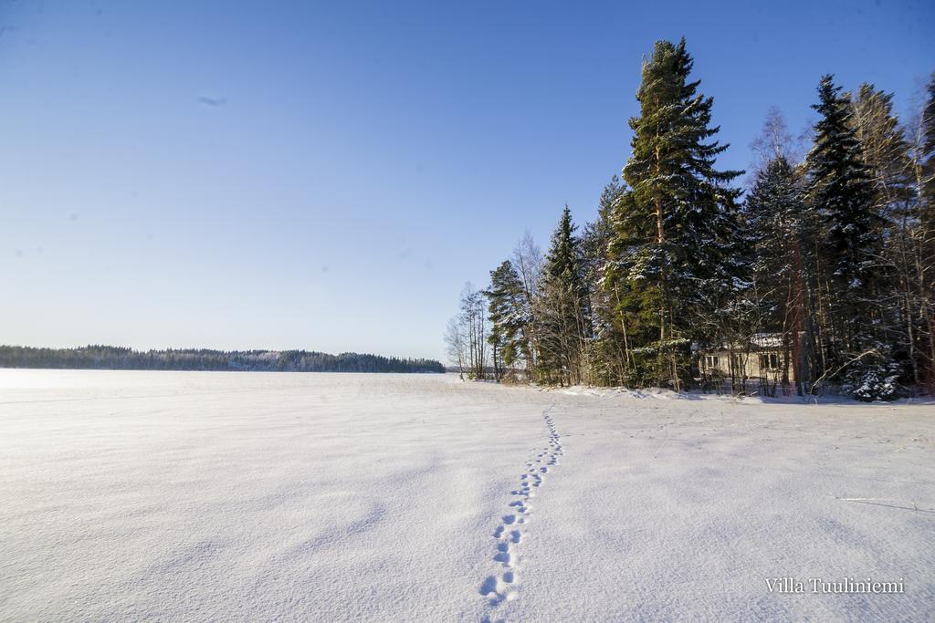 Villa Tuuliniemi Muurame Pokój zdjęcie